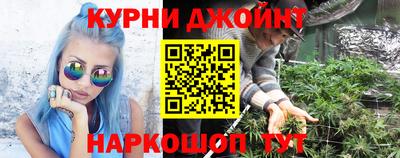 Альфа ПВП Бердск