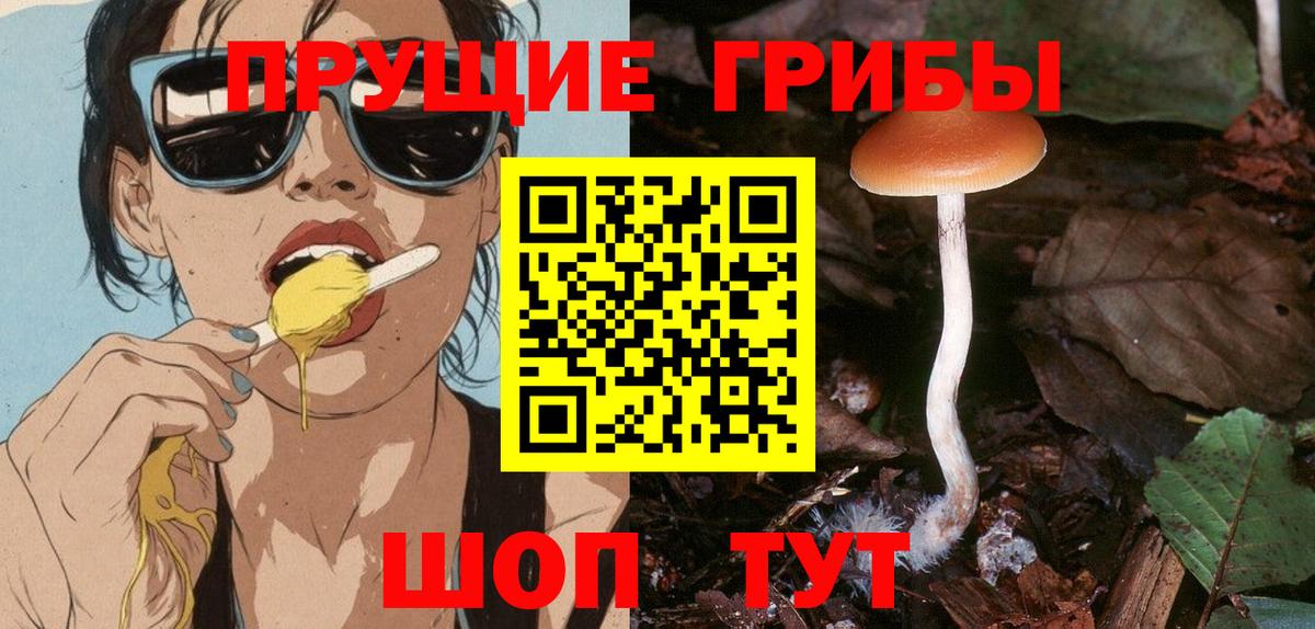 Галлюциногенные грибы мухоморы  Вход с VPN  Будённовск  Псилоцибиновые грибы MAGIC MUSHROOMS 