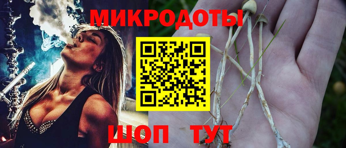 Псилоцибиновые грибы Magic Shrooms Будённовск